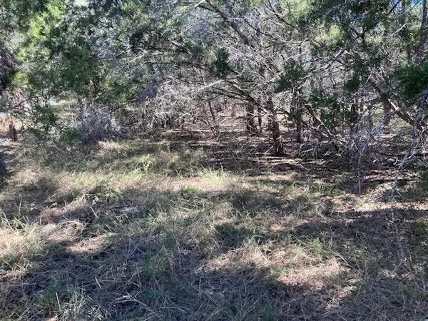 55 York Creek RD, Driftwood, TX 78619