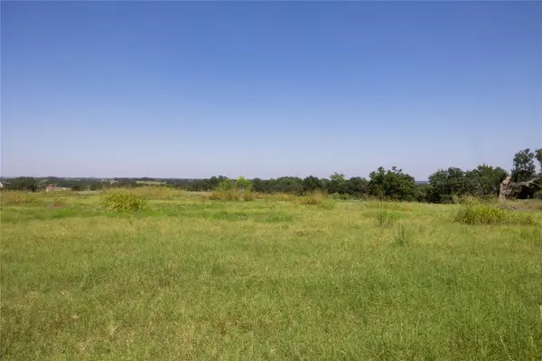3225 Terrier Hill LN, Brenham, TX 77833