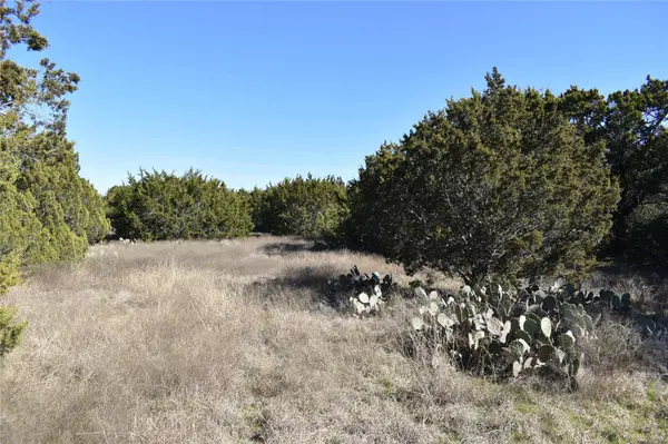 Lot 18 Riparian Elm, Bertram, TX 78605