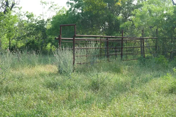 TBD Taylorsville Road RD, Red Rock, TX 78662