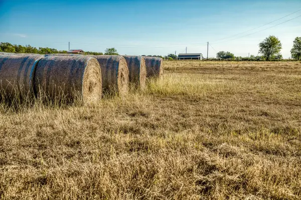 460 County Road 328, Caldwell, TX 77836