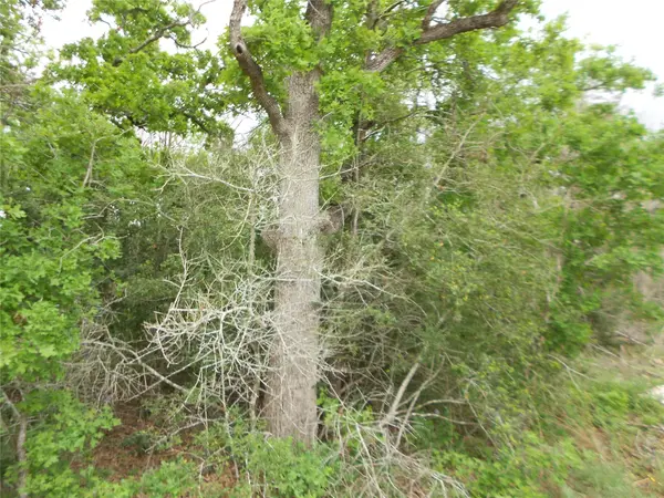 441 Tom Tom, Smithville, TX 78957