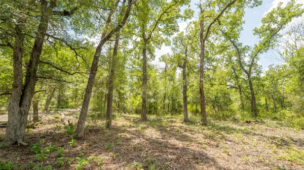 418-K County Road 405, Buckholts, TX 76518