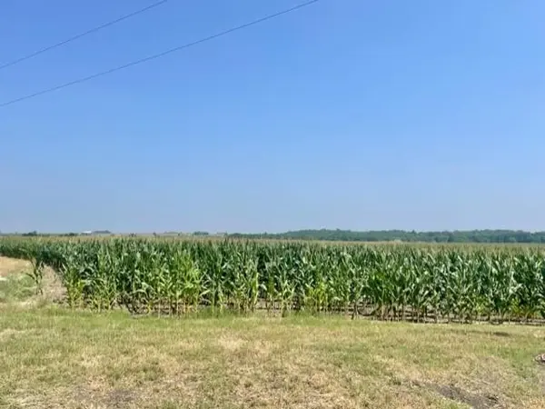 1117 County Road 423, Taylor, TX 76574