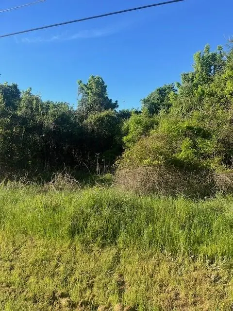 167 Kahana LN, Bastrop, TX 78602
