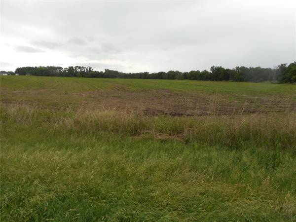 TBD N Fm 619 RD, Taylor, TX 76574