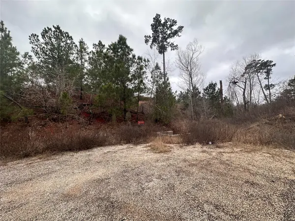 LOT 178 / R32255 Keo Kea CT, Bastrop, TX 78602