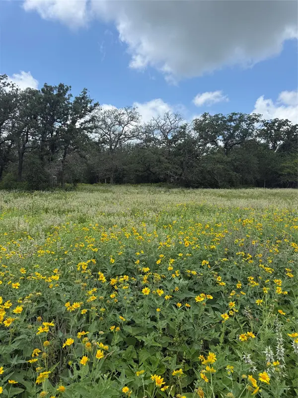 2135 Mule Creek RD, Harwood, TX 78632