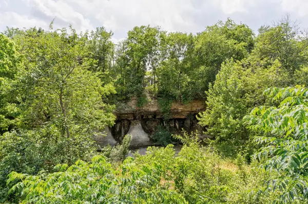 1113 W 31 ST, Austin, TX 78705