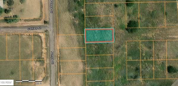 173 Texas DR, Howardwick, TX 79226