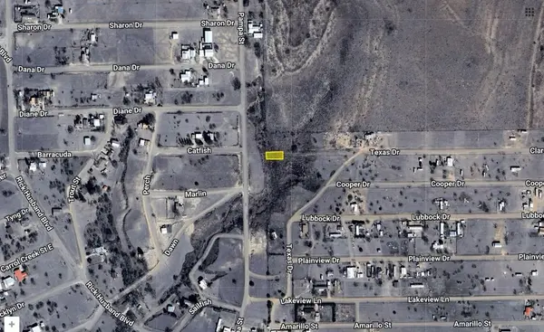 173 Texas DR, Howardwick, TX 79226