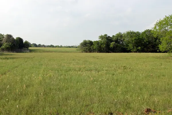 3223 Old Kelley RD, Lockhart, TX 78644