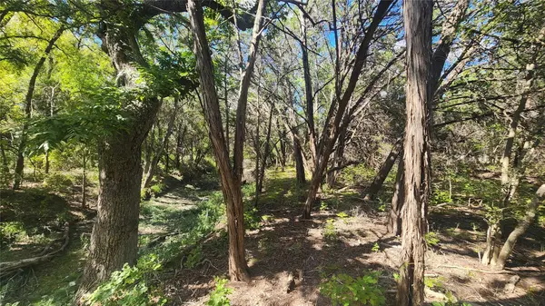 25615 Ronald W Reagan BLVD, Georgetown, TX 78633