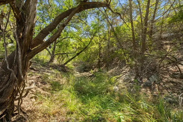 Tract 3 of 5818 Ranch Road 165, Blanco, TX 78606