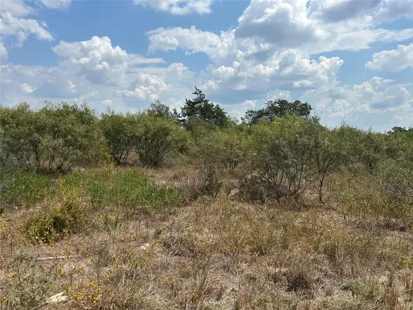 303 Walter Hoffman RD, Cedar Creek, TX 78612