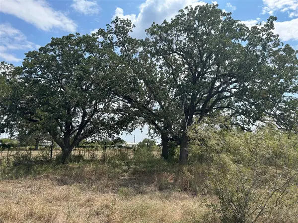 303 Walter Hoffman RD, Cedar Creek, TX 78612