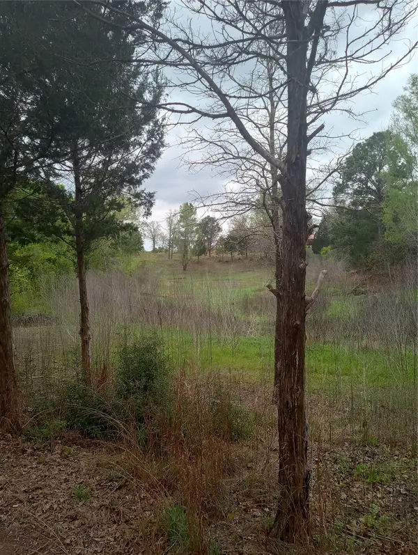 177 Moon Mist DR, Bastrop, TX 78602