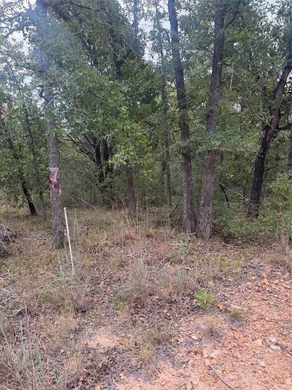 Lot 6 Spruce ST, Paige, TX 78659
