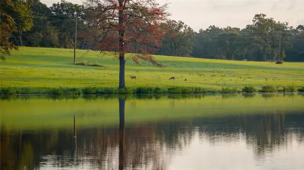 1577 County Road 431, Tennessee Colony, TX 75861