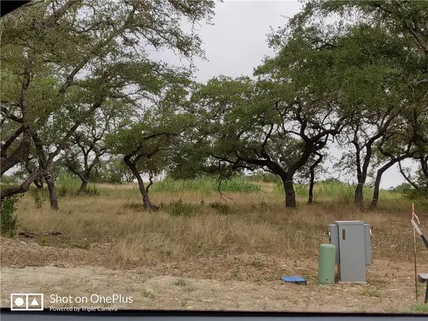 410 Whisenant LN, Dripping Springs, TX 78620