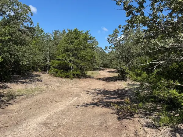 13115 Schoenemann RD, Carmine, TX 78932