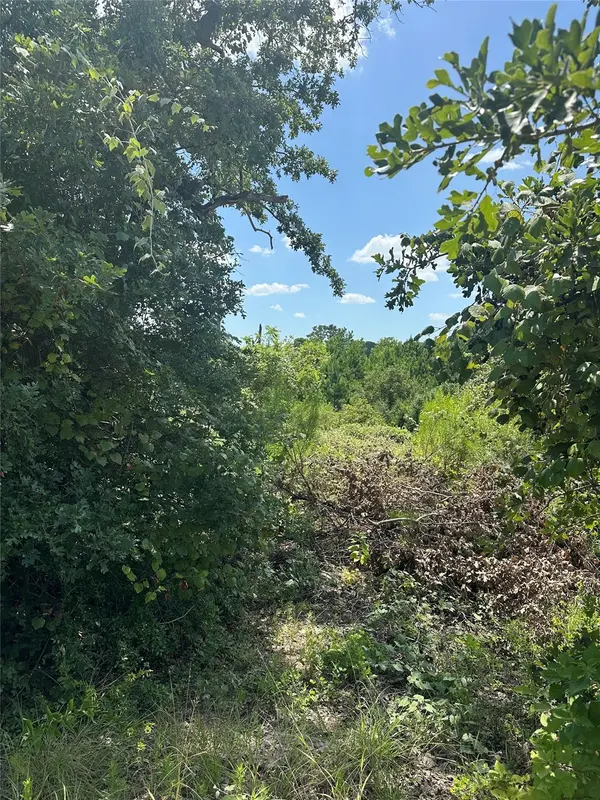 164 Manawianui DR, Bastrop, TX 78602