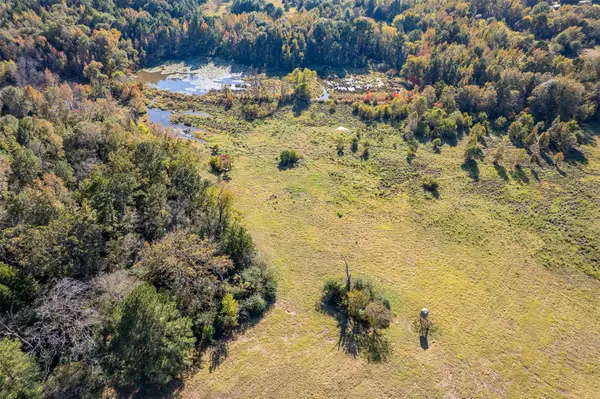 380 An County Road 370, Palestine, TX 75801