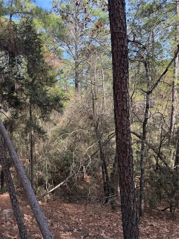 Lot 266 Wainee DR, Bastrop, TX 78602