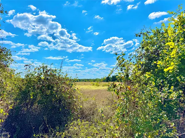 TBD 50.62 Acres Rabel RD, Rosanky, TX 78953