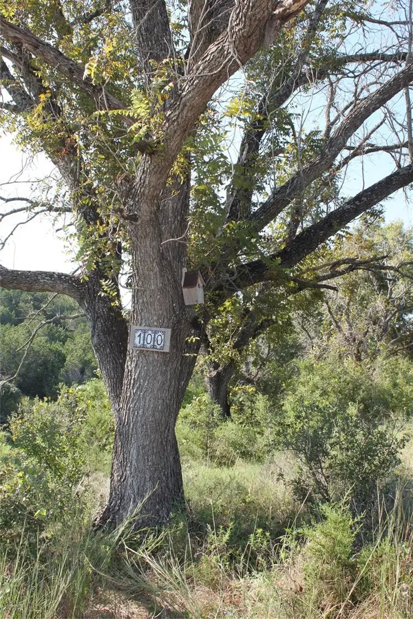 Lot 100 Saddle Ridge DR, Bertram, TX 78605