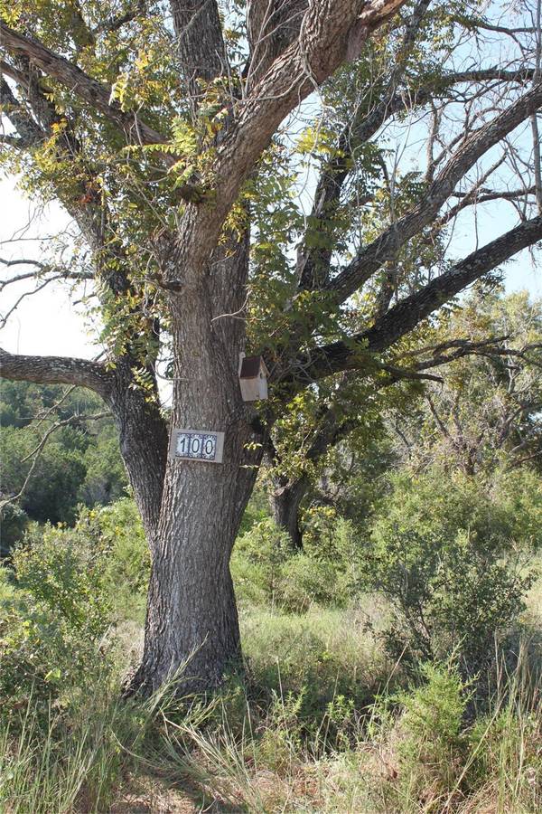 Lot 100 Saddle Ridge DR, Bertram, TX 78605