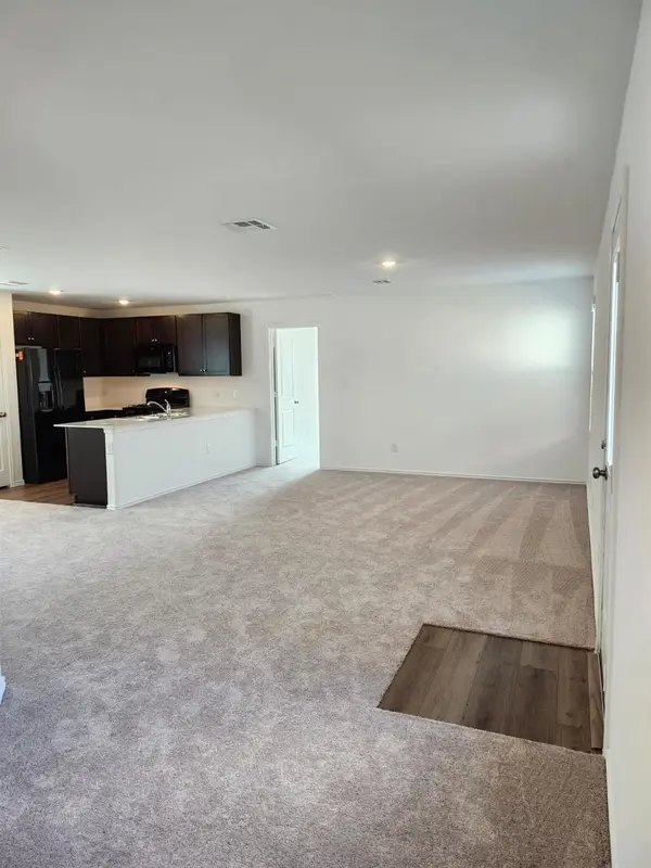164 Northern Pintail, Uhland, TX 78640