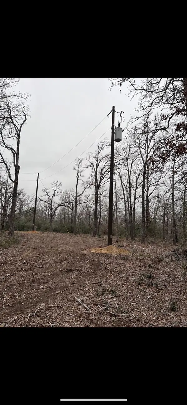 1304 Walleye Creek Trail ST, Lexington, TX 78947