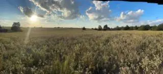 555 #C Paint Creek RD, Mcdade, TX 78650