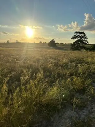555 #C Paint Creek RD, Mcdade, TX 78650