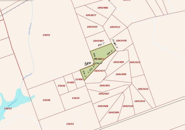 Tract 14 The Ranches at Woodland Trail, Caldwell, TX 77836