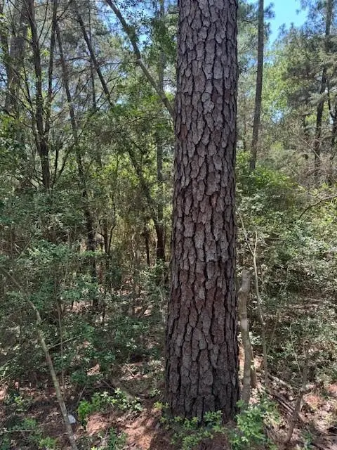 Lot 250 Hekili DR, Bastrop, TX 78602