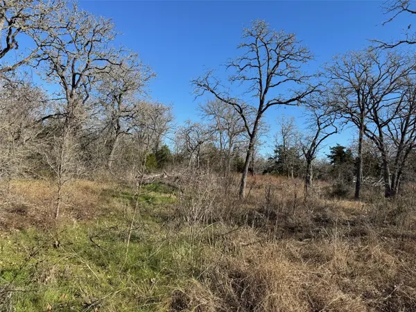 TBD TBD DR, Cedar Creek, TX 78612