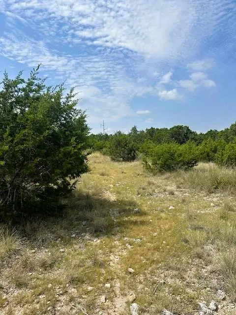 TBD Lot 1 Soaring Eagle DR, Fischer, TX 78623