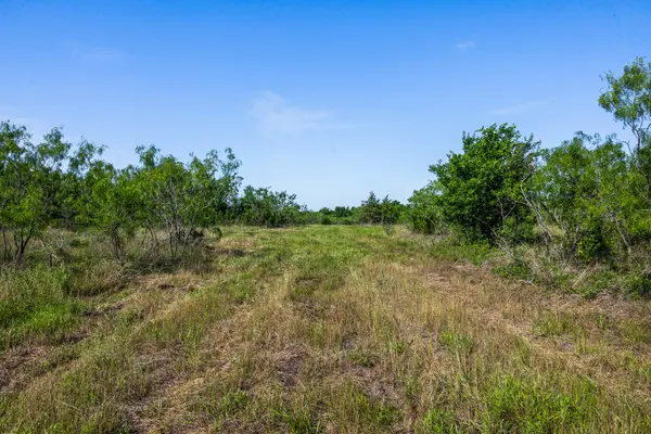 Tract 2 TBD LCR 392, Groesbeck, TX 76642