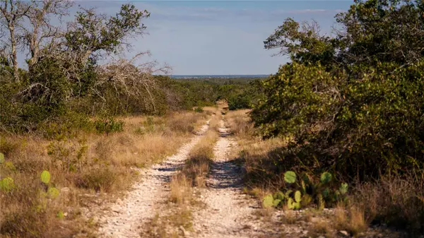 8500 Buck Ridge DR, Brady, TX 76858