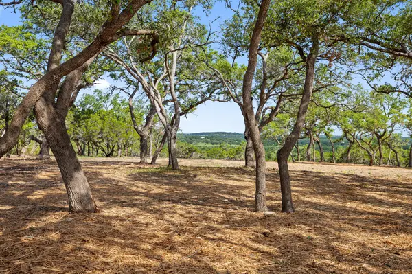 9475 FM 32, Lot 9, Fischer, TX 78623