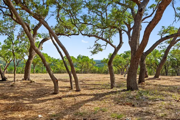 9475 FM 32, Lot 9, Fischer, TX 78623