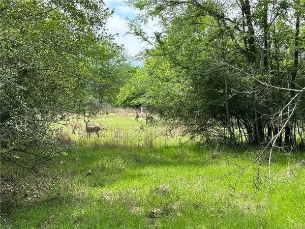 00 Hickory Loop RD, Thornton, TX 76687