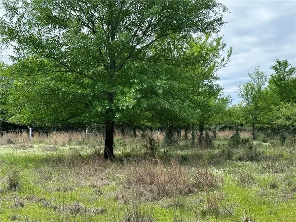 00 Hickory Loop RD, Thornton, TX 76687