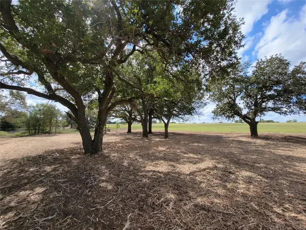 Tract 2 FM 713 HWY, Lockhart, TX 78644
