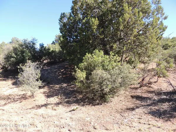 1383 Sierry Peaks DR, Prescott, AZ 86305