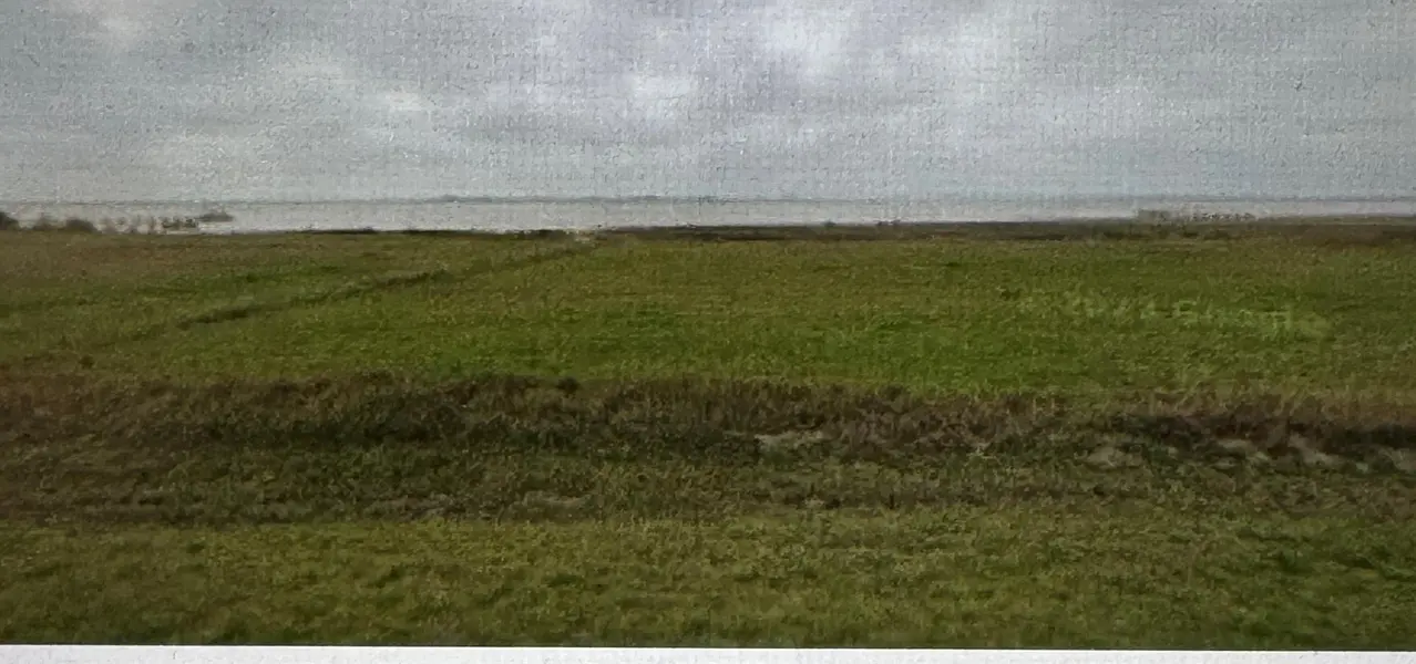 Address Not Disclosed