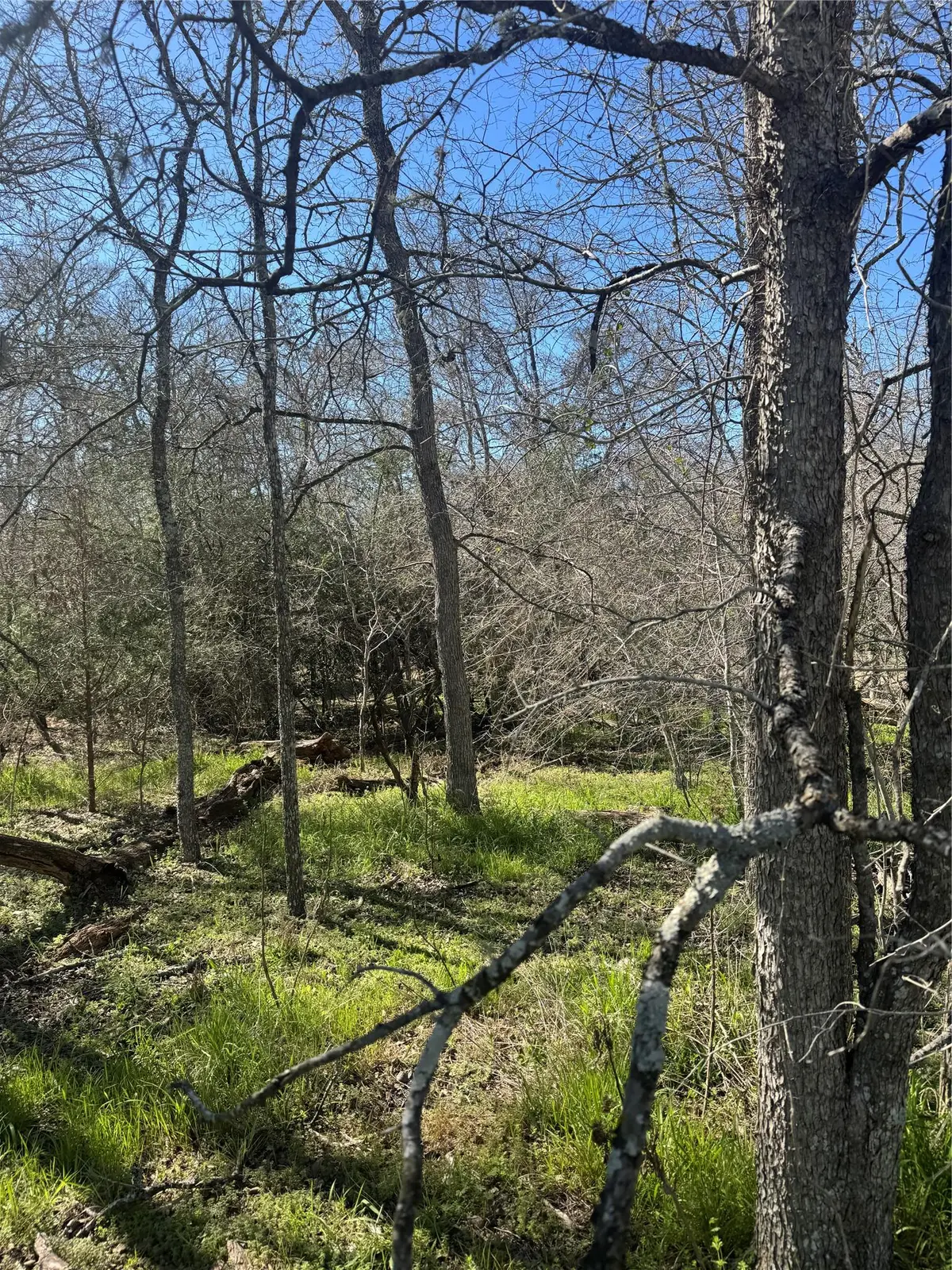 289 Iva LN, Bastrop, TX 78602