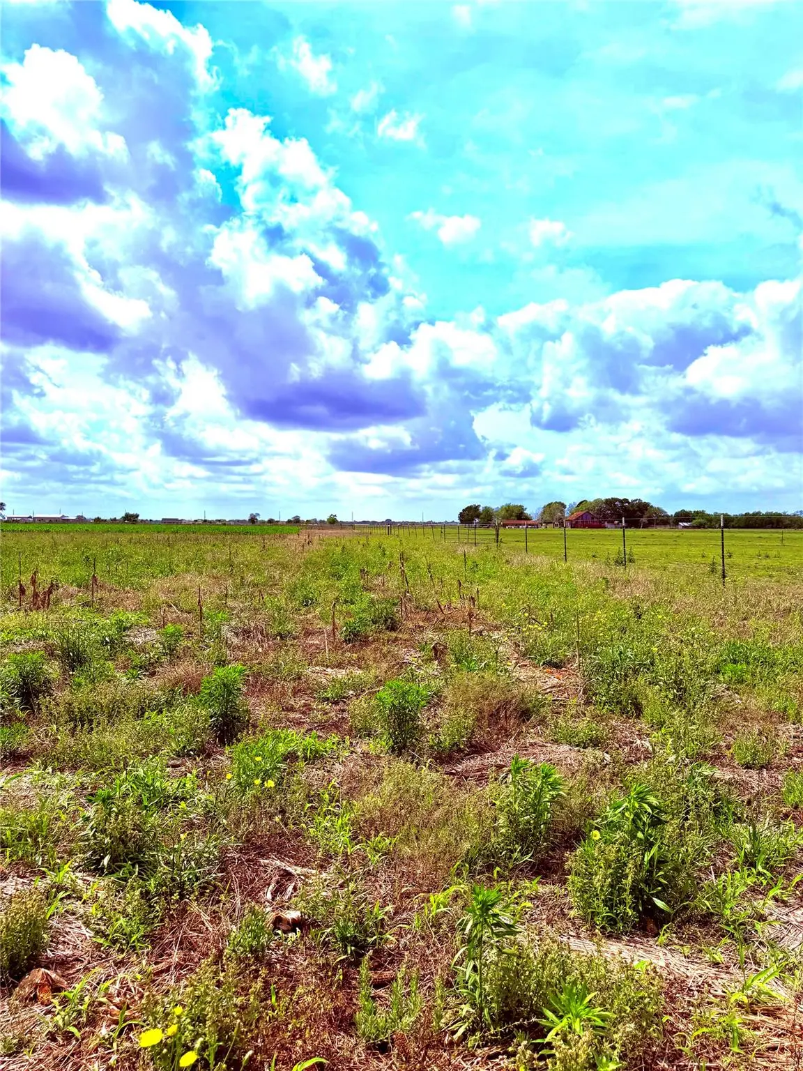 4421 Polak Rd RD, Orchard, TX 77485